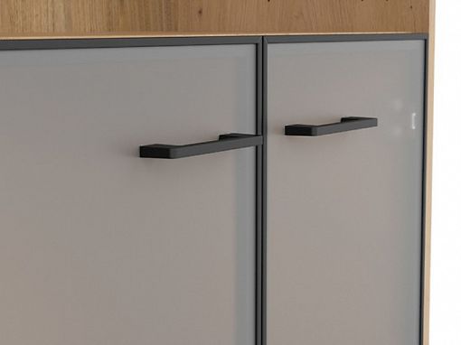 SPACE OFFICE vitrína REG2W/120, dub artisan/černý mat